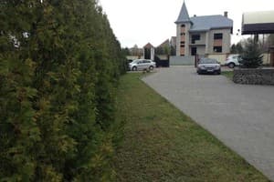 Формула плюс 6