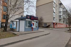 Луцк сутки Базилик 5