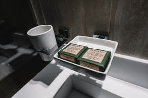 Отель Noble Boutique Hotel. Бизнес двухместный  6