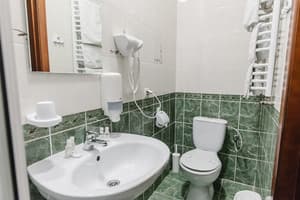 Отель Рестпарк. Стандарт двухместный  16