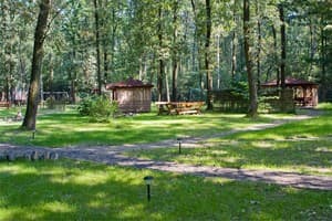 Зеленый Гай 1